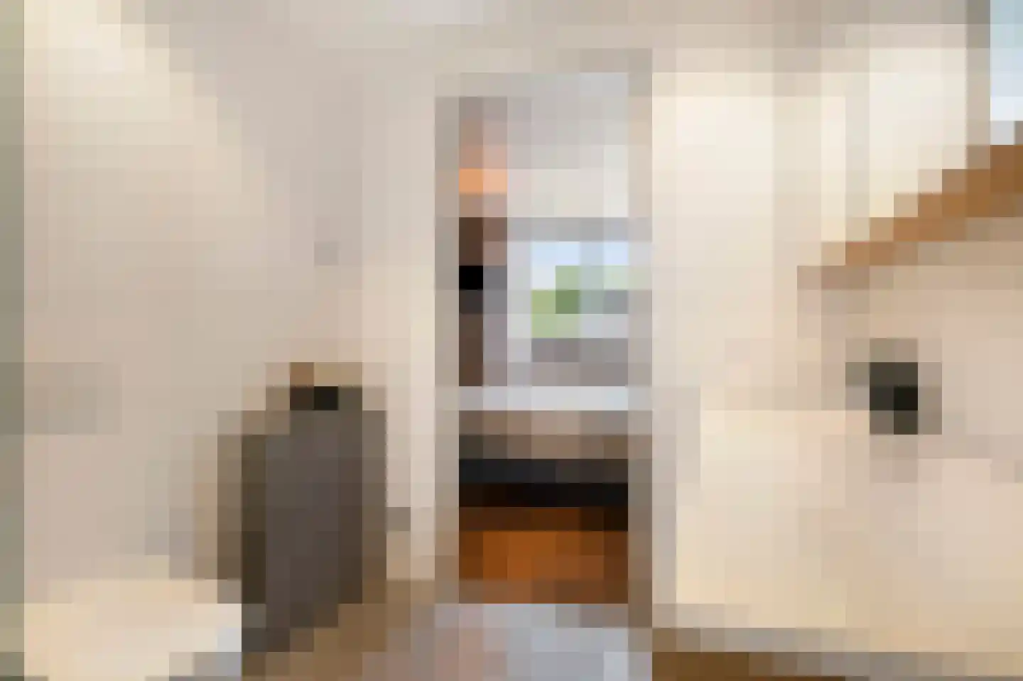 Leharkade 16 Alkmaar thumbnail 36