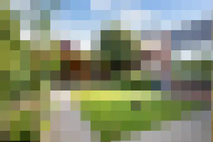 Leharkade 16 Alkmaar thumbnail 41