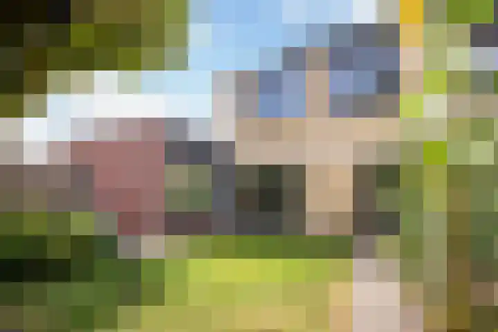 Leharkade 16 Alkmaar thumbnail 44