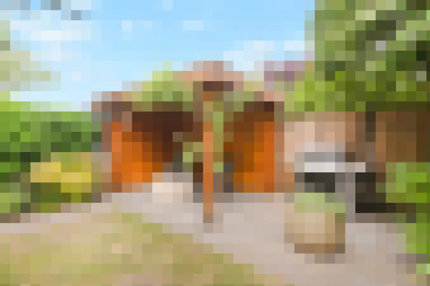 Leharkade 16 Alkmaar thumbnail 46