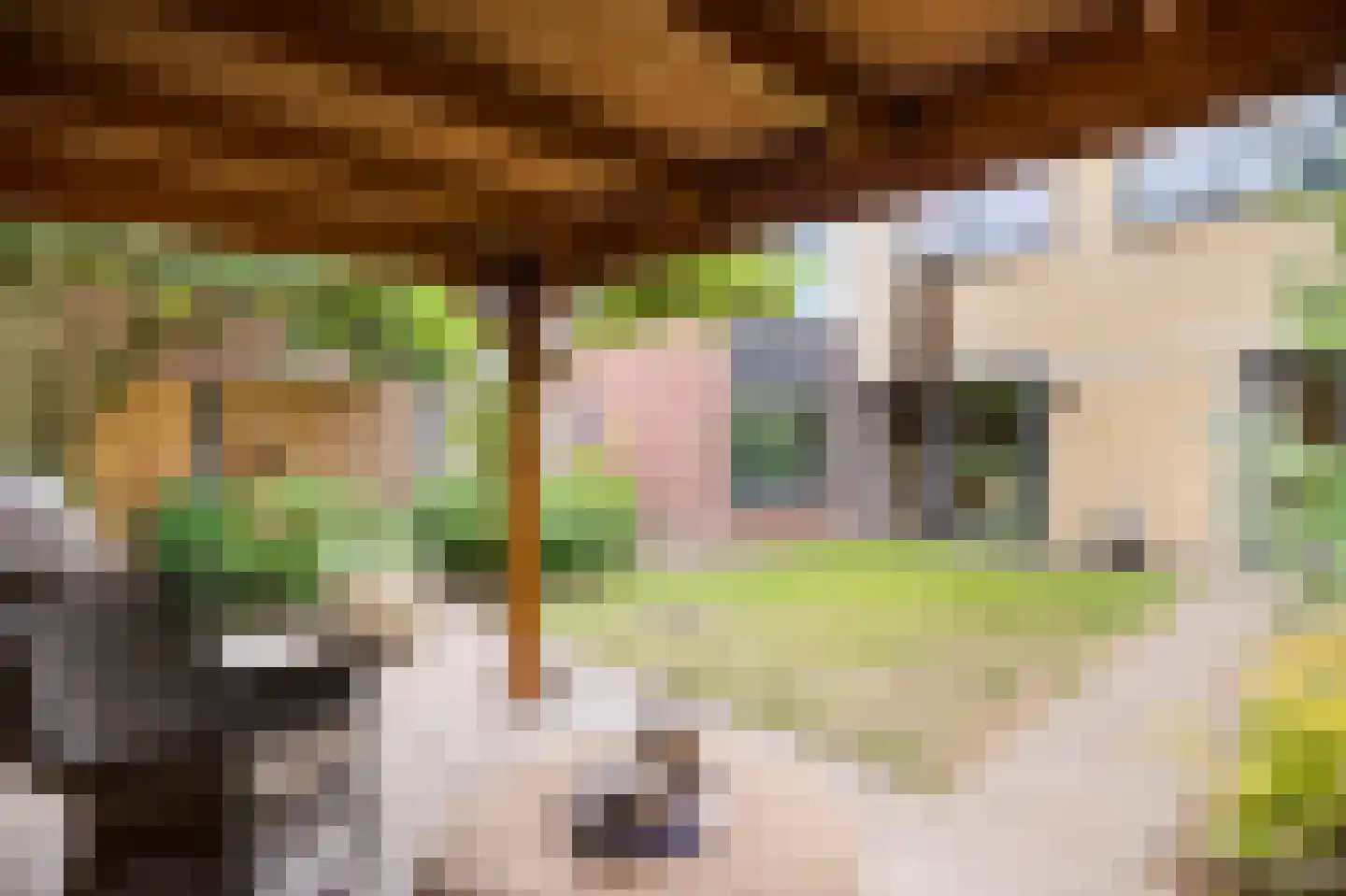Leharkade 16 Alkmaar thumbnail 48
