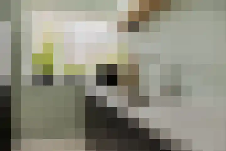 Leharlaan 17 Delft thumbnail 11