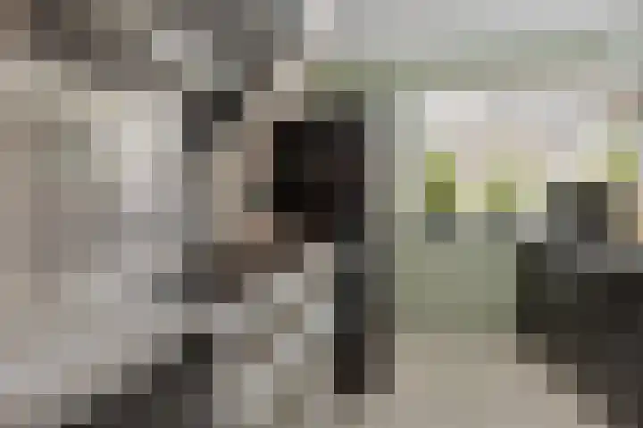 Leharlaan 17 Delft thumbnail 12