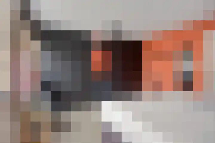 Leharlaan 17 Delft thumbnail 22