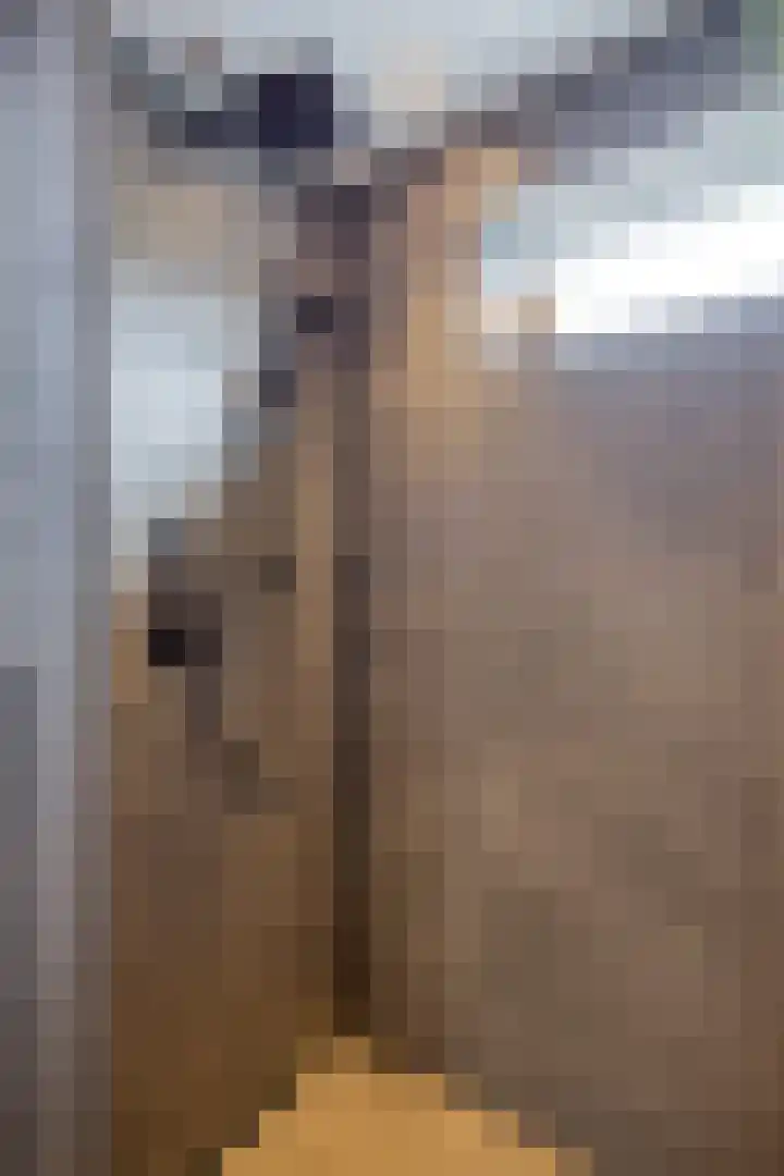 Leharlaan 17 Delft thumbnail 25