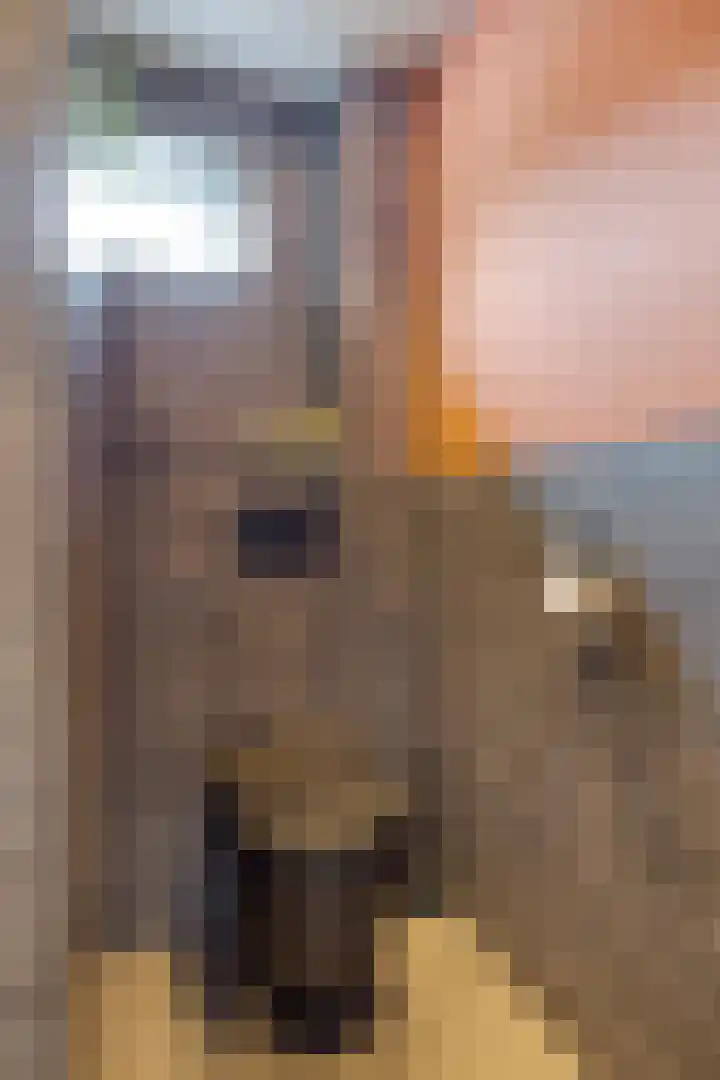 Leharlaan 17 Delft thumbnail 26