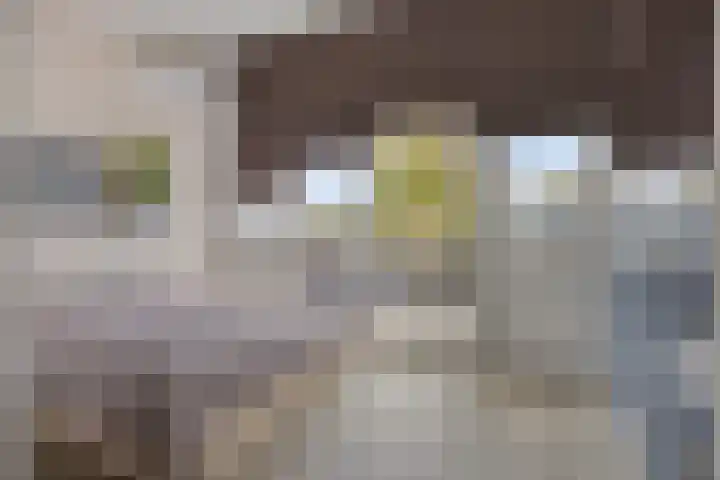 Leharlaan 17 Delft thumbnail 32