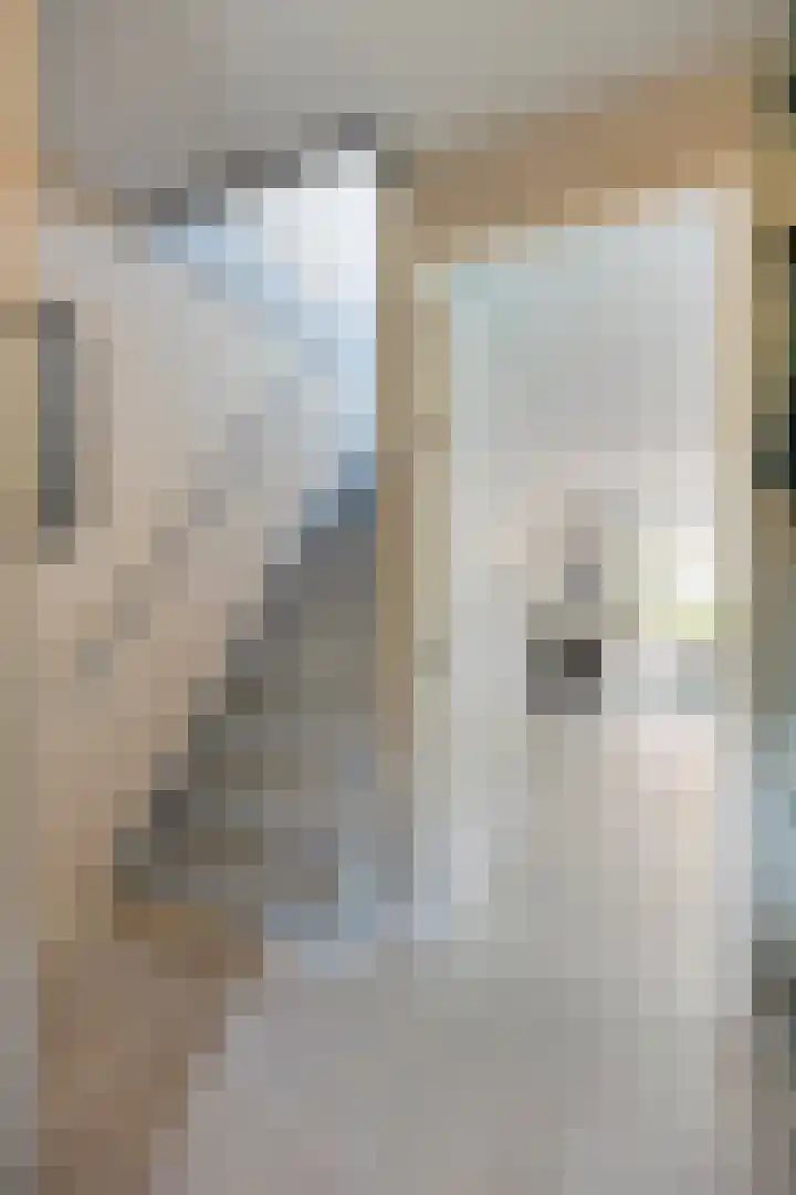 Leharlaan 17 Delft thumbnail 5