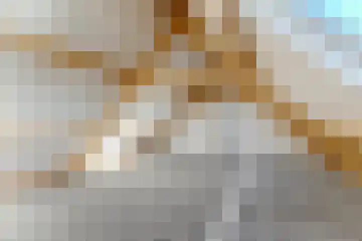 Leharstraat 105 Tilburg thumbnail 9