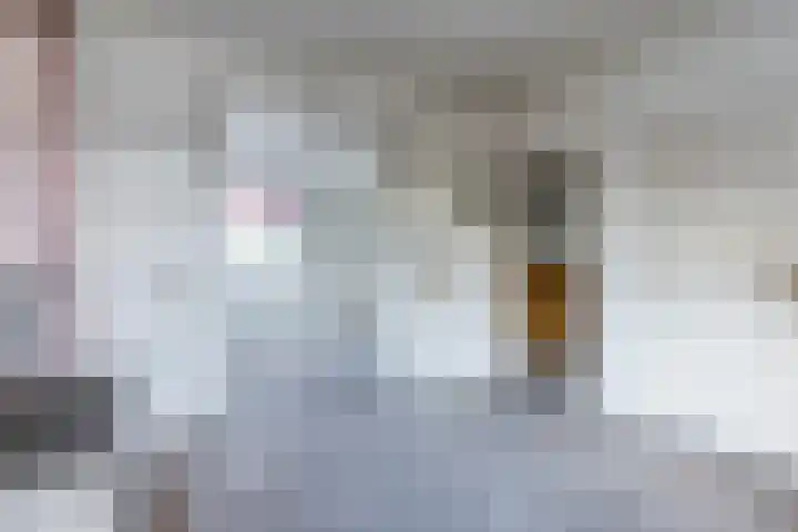 Leharstraat 12 Tilburg thumbnail 15