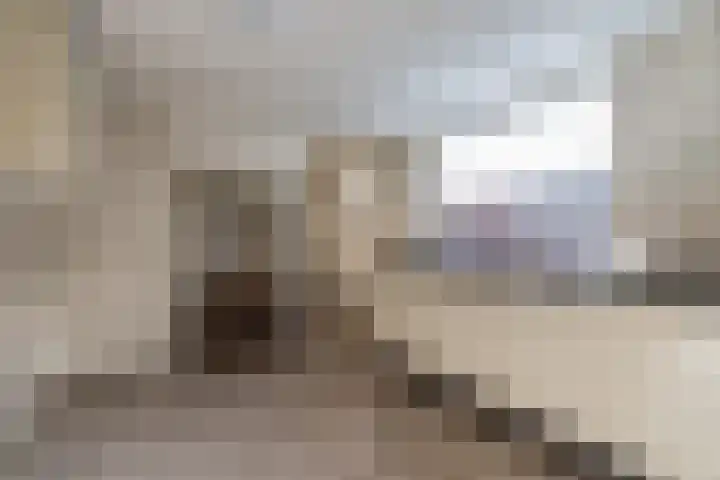 Leharstraat 12 Tilburg thumbnail 23