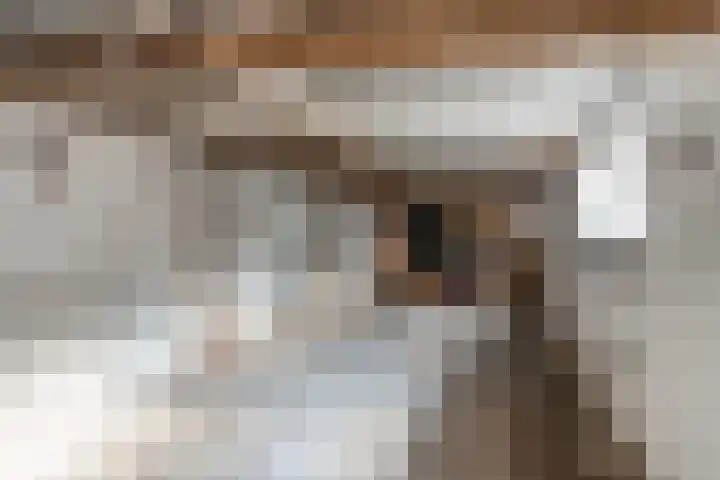 Leharstraat 12 Tilburg thumbnail 40