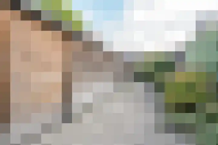 Leharstraat 12 Tilburg thumbnail 5