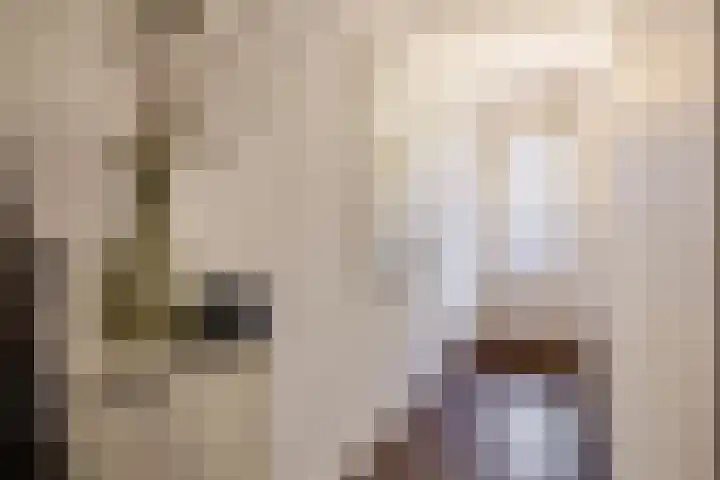 Lehárstraat 126 Capelle aan den IJssel thumbnail 9