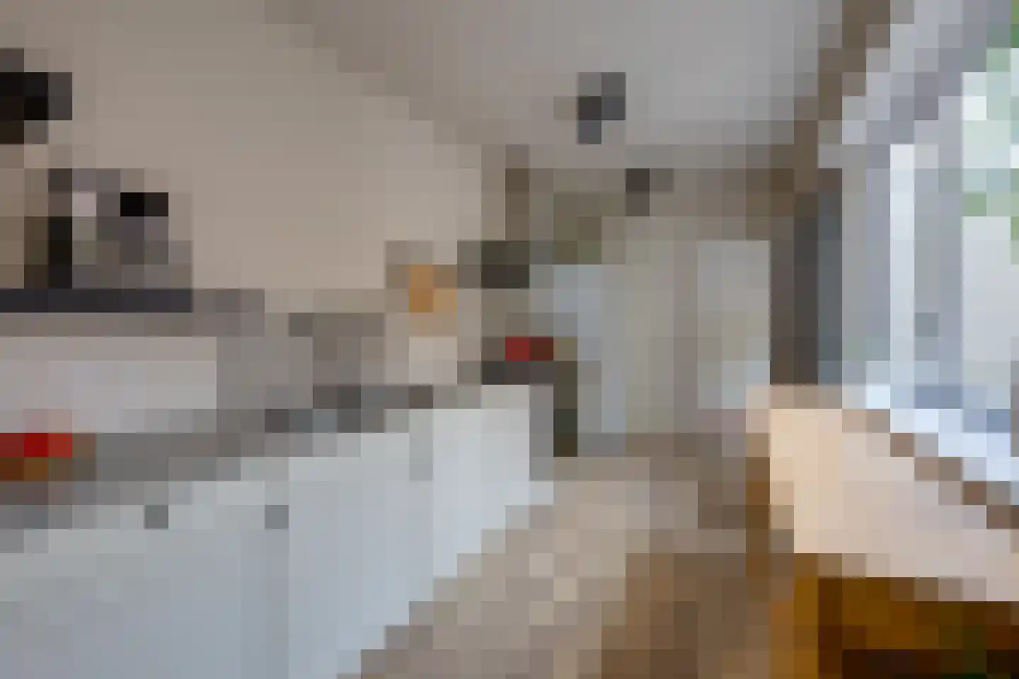 Leharstraat 135 Tilburg thumbnail 14