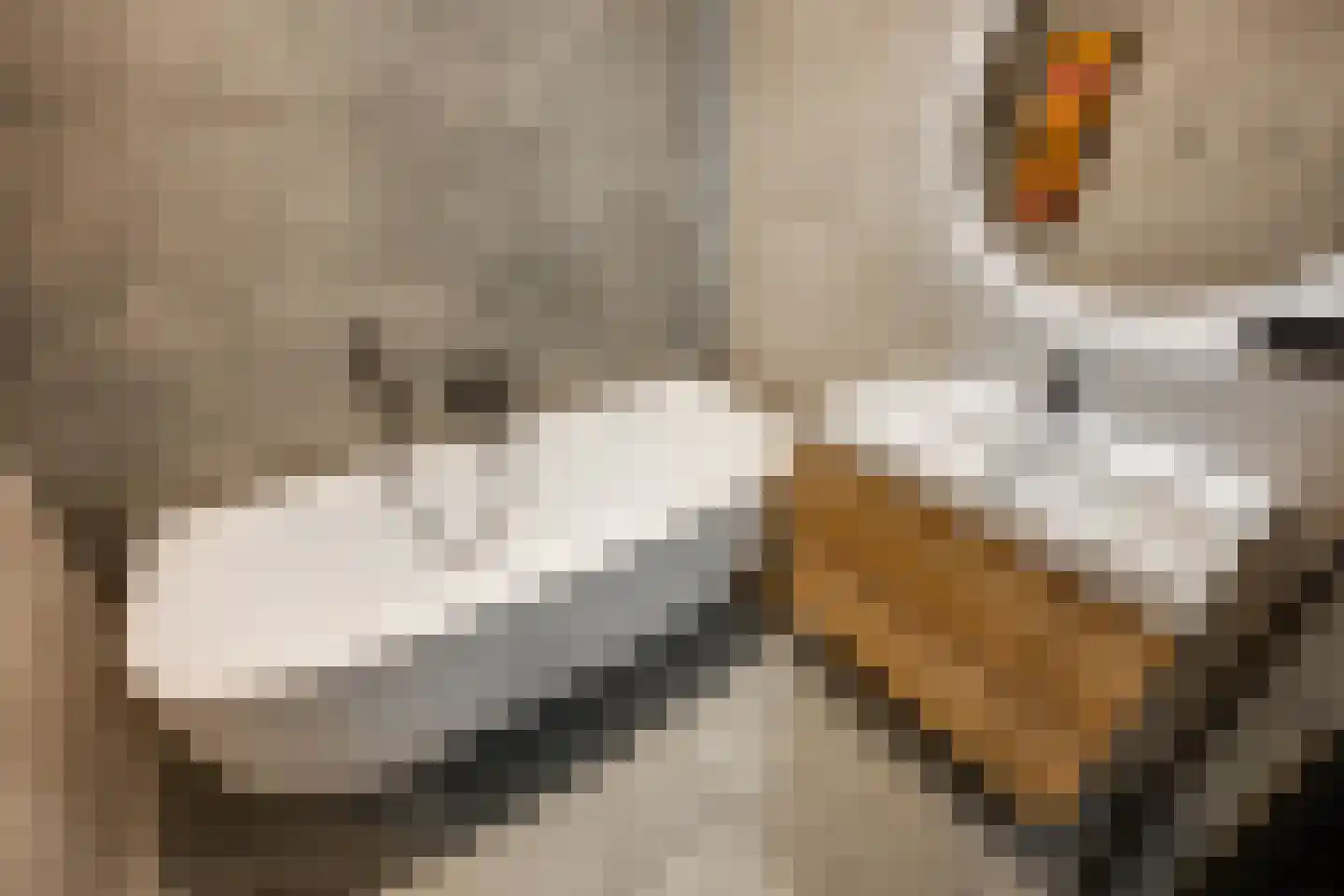 Leharstraat 135 Tilburg thumbnail 19