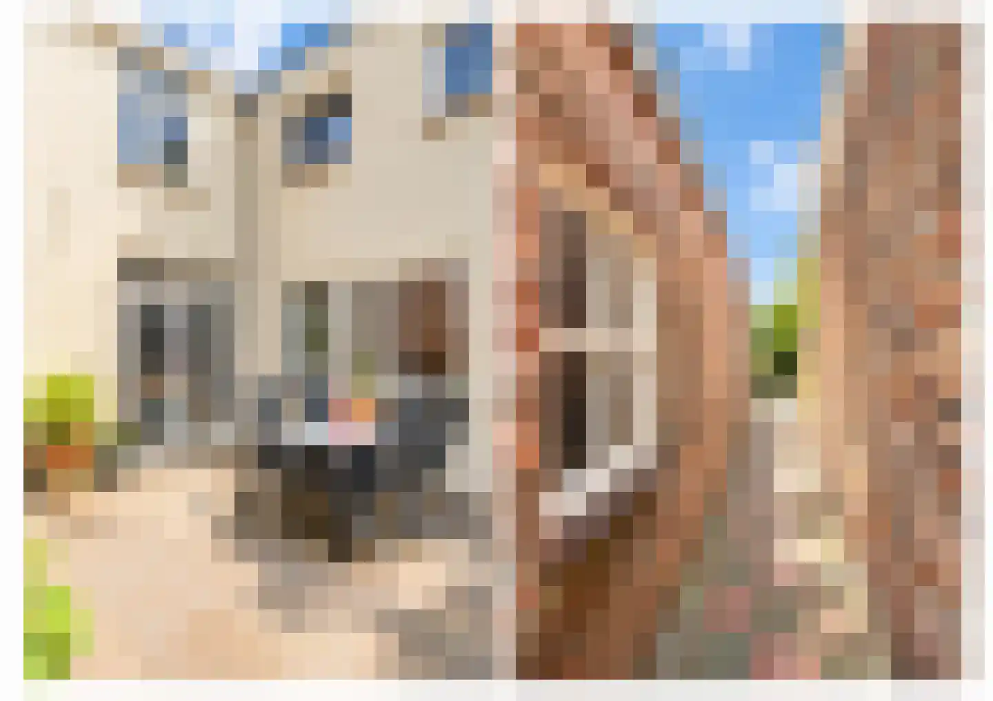 Leharstraat 135 Tilburg thumbnail 33