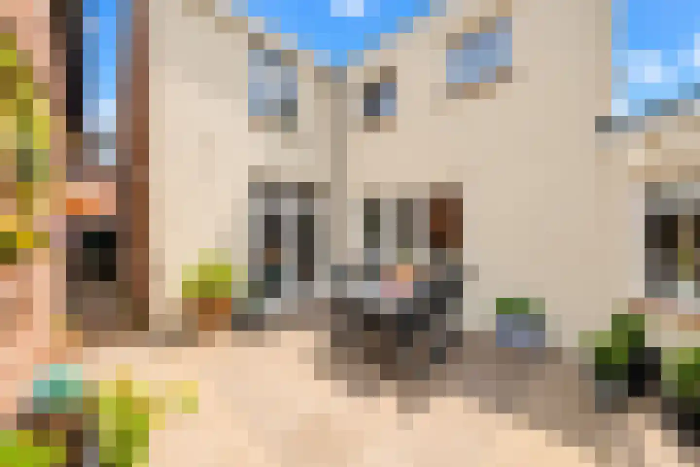 Leharstraat 135 Tilburg thumbnail 35