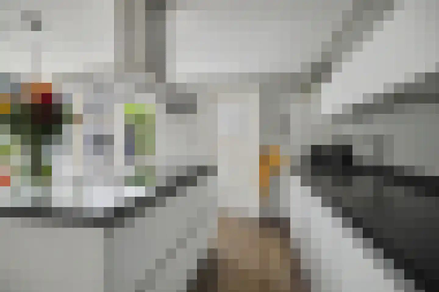 Leharstraat 15 Tilburg thumbnail 17