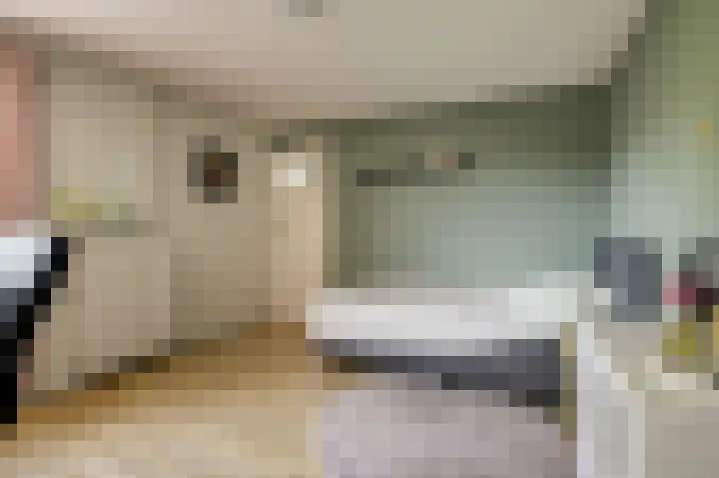 Leharstraat 15 Tilburg thumbnail 22