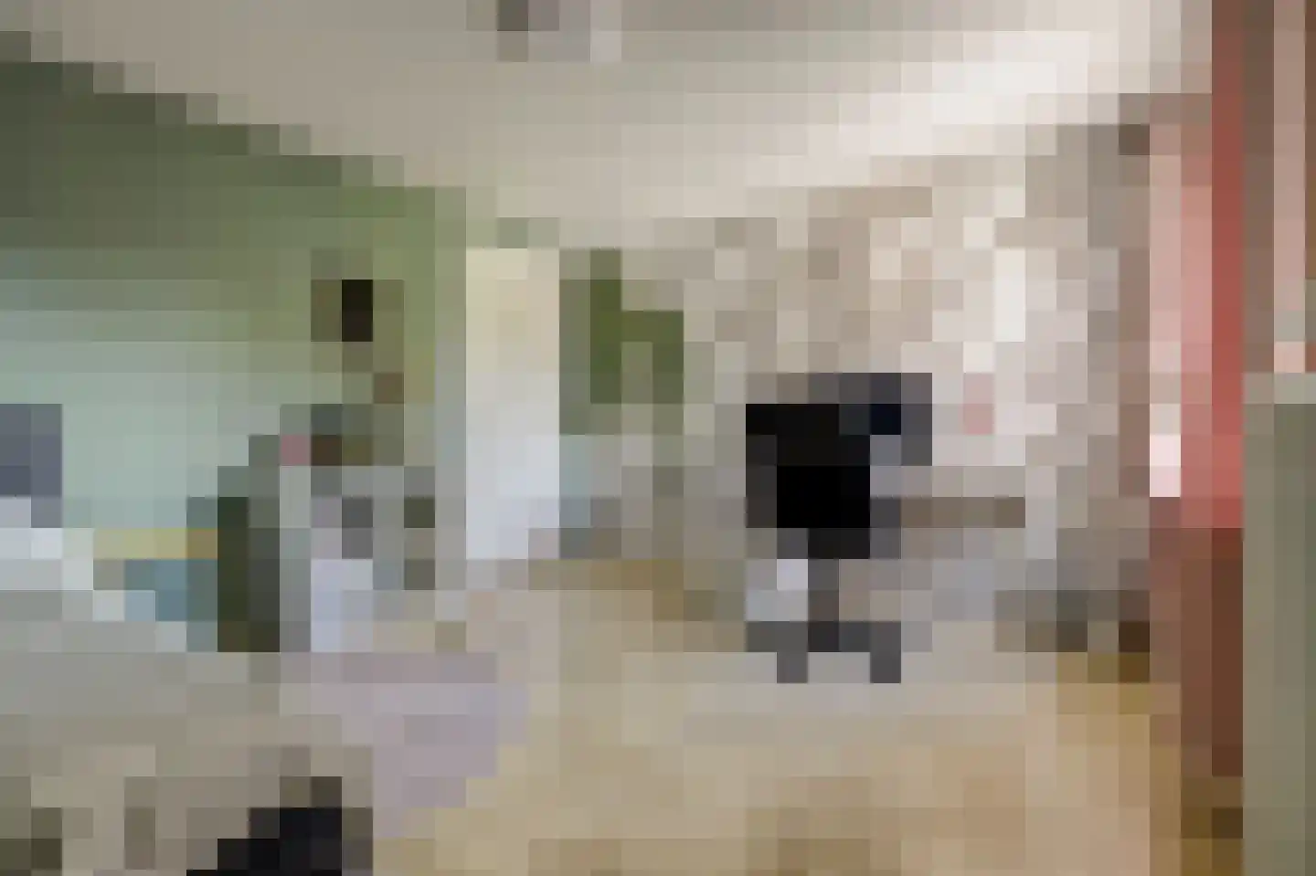 Leharstraat 15 Tilburg thumbnail 23