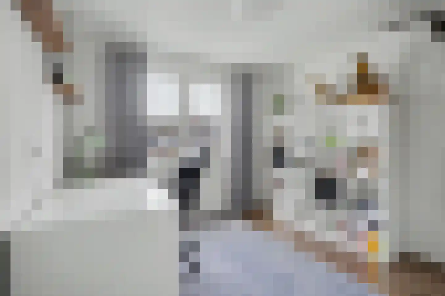 Leharstraat 15 Tilburg thumbnail 25