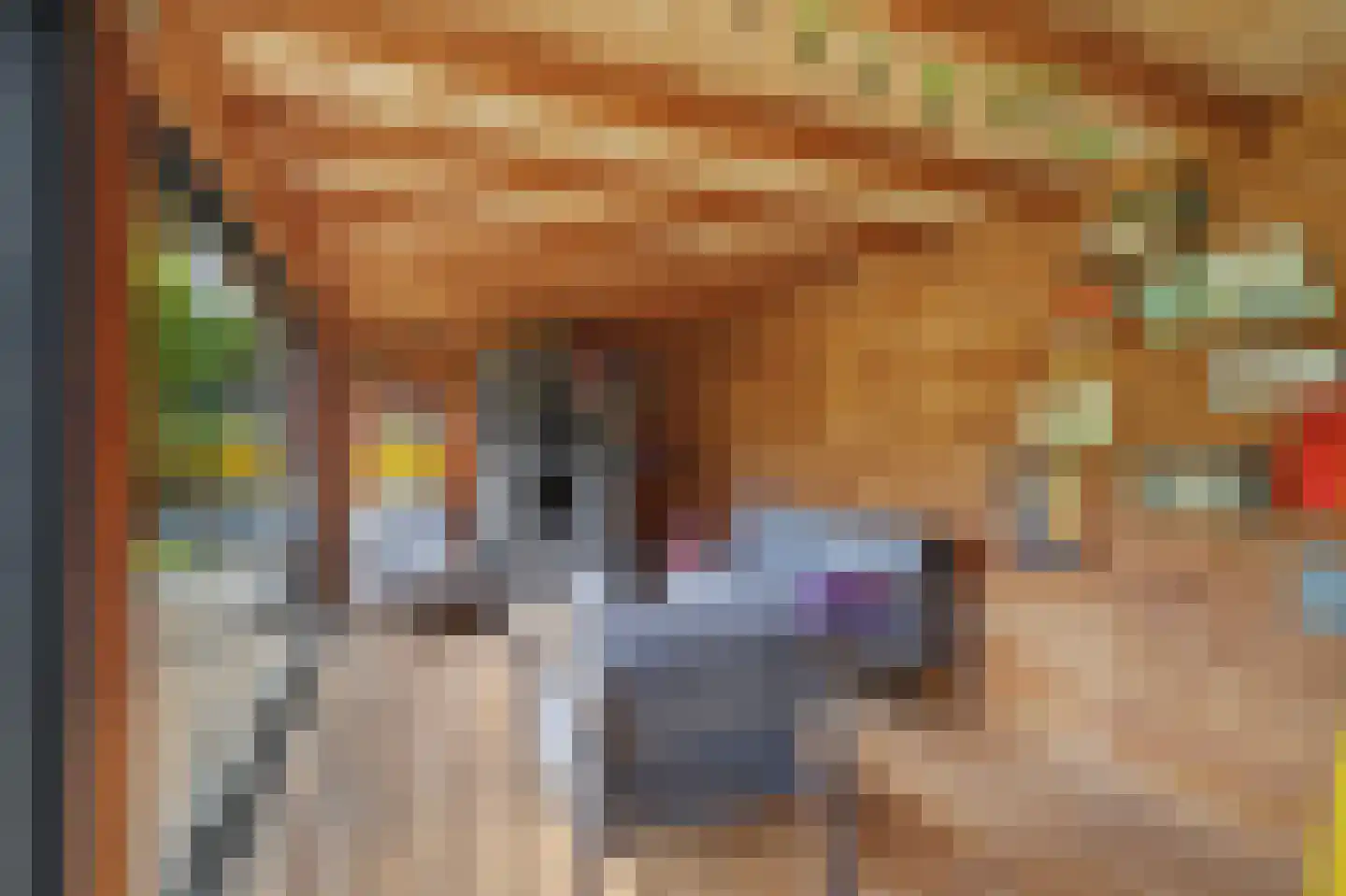 Leharstraat 15 Tilburg thumbnail 36