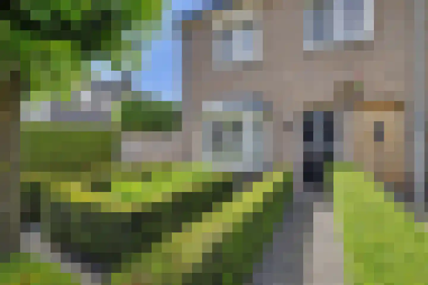 Leharstraat 15 Tilburg thumbnail 4