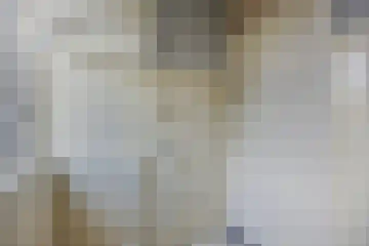 Leharstraat 18 Dongen thumbnail 16