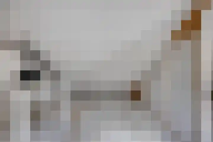 Leharstraat 18 Dongen thumbnail 21