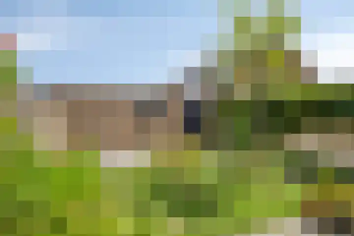 Leharstraat 18 Dongen thumbnail 24