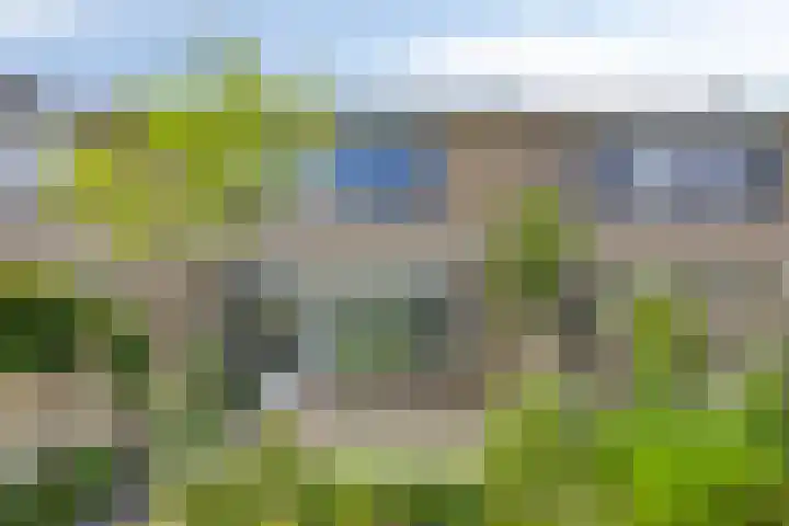 Leharstraat 18 Dongen thumbnail 25