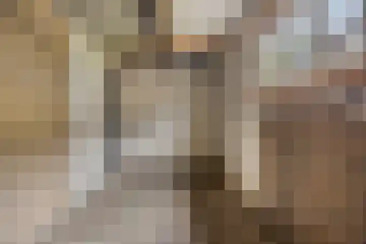 Leharstraat 18 Dongen thumbnail 28