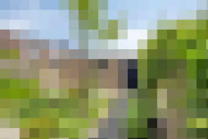 Leharstraat 18 Dongen thumbnail 6