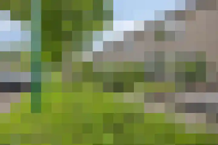 Leharstraat 18 Dongen thumbnail 8