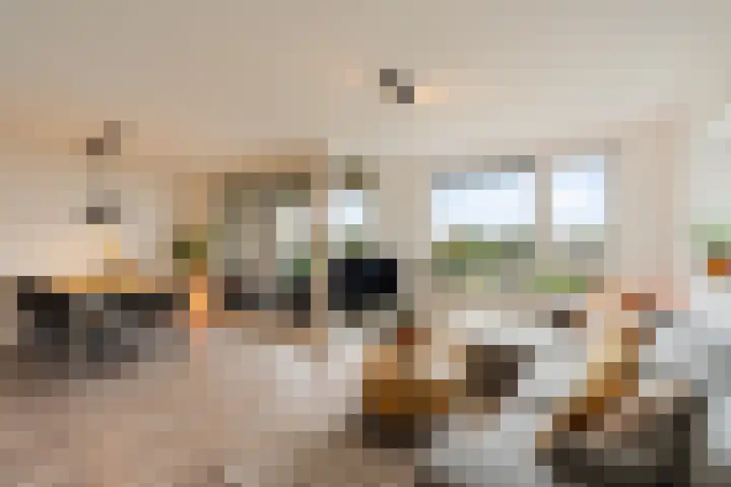 Lehárstraat 198 Capelle aan den IJssel thumbnail 13