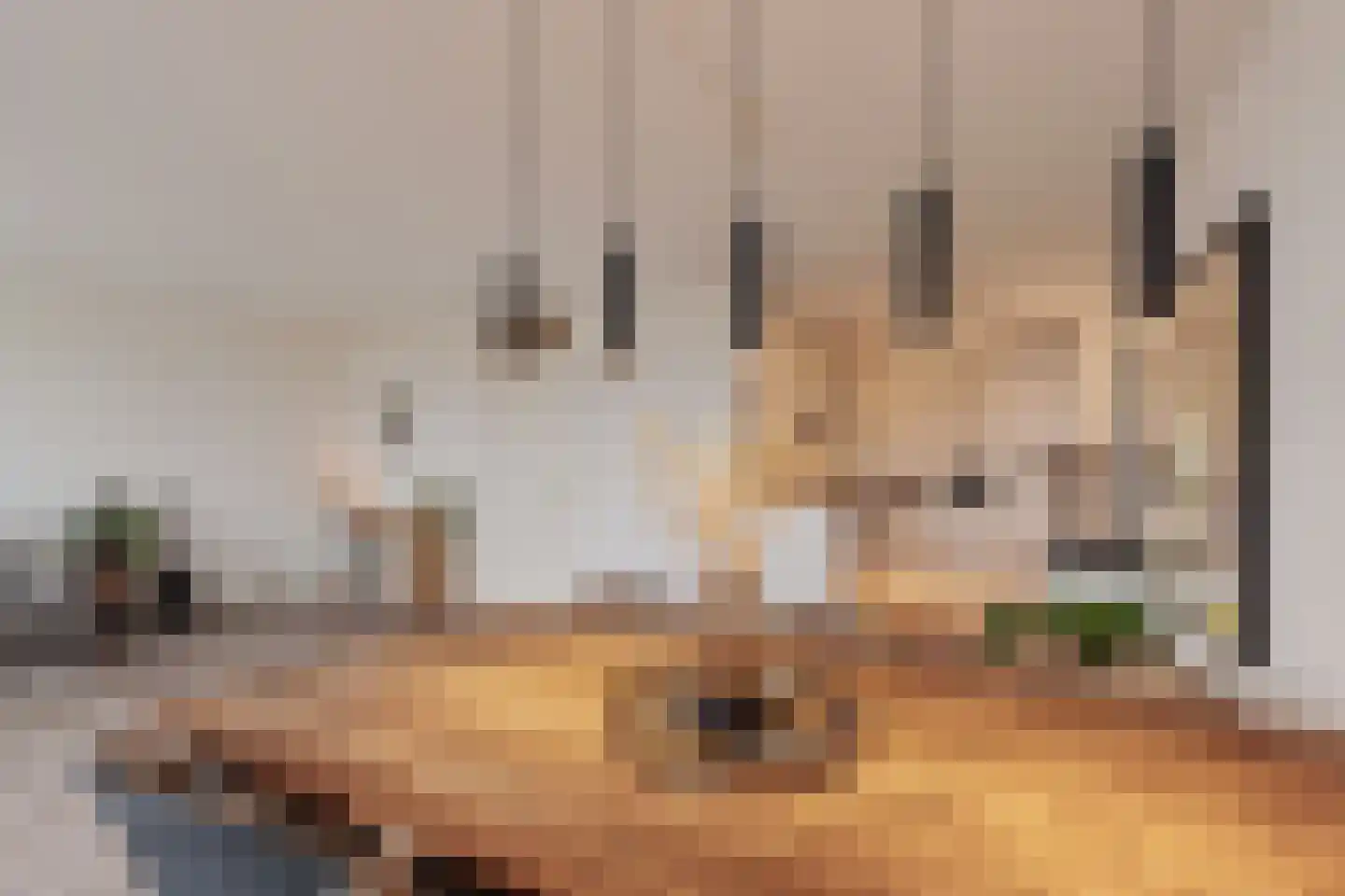Lehárstraat 198 Capelle aan den IJssel thumbnail 4
