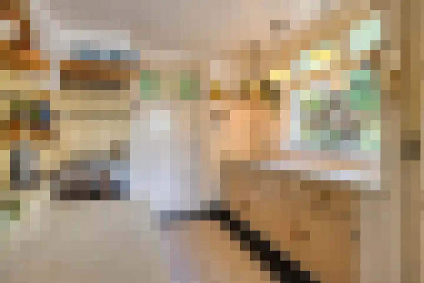 Leharstraat 22 Tilburg thumbnail 16