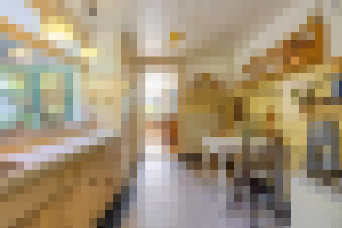 Leharstraat 22 Tilburg thumbnail 17