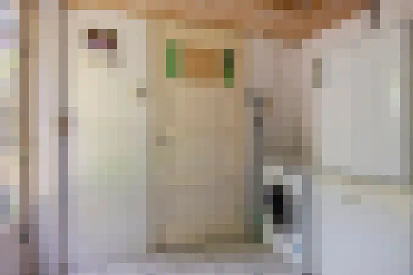 Leharstraat 22 Tilburg thumbnail 20