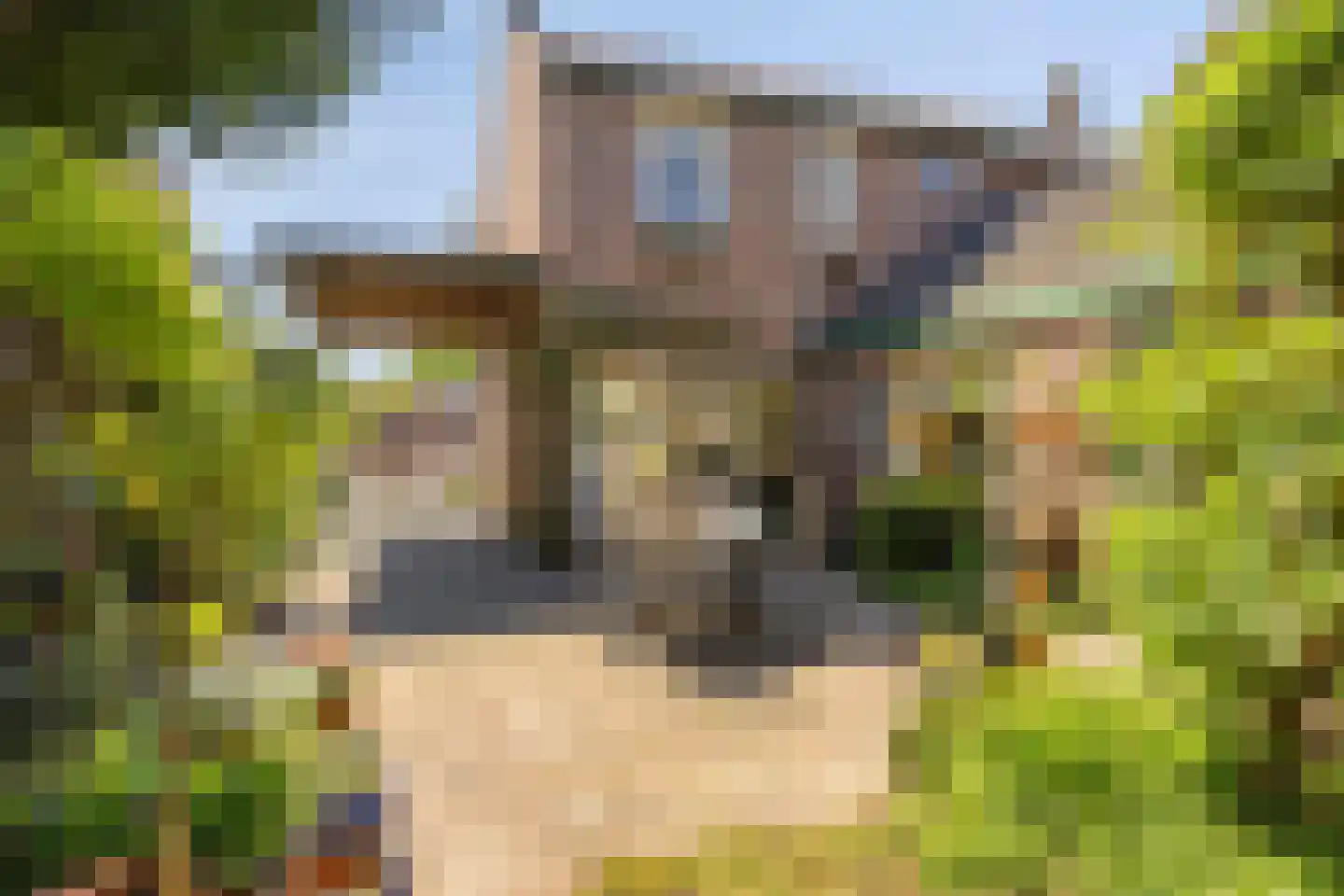 Leharstraat 22 Tilburg thumbnail 37