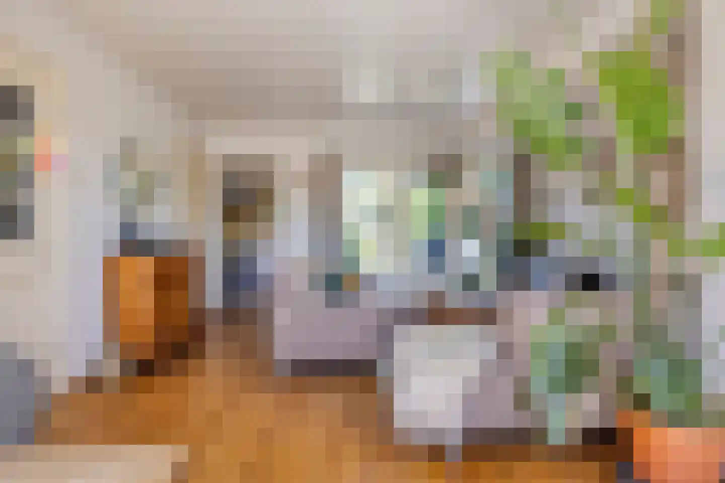 Leharstraat 22 Tilburg thumbnail 4