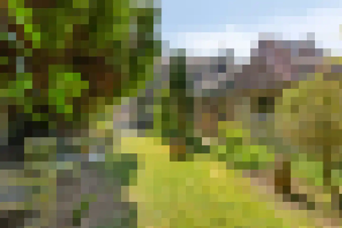 Leharstraat 22 Tilburg thumbnail 42