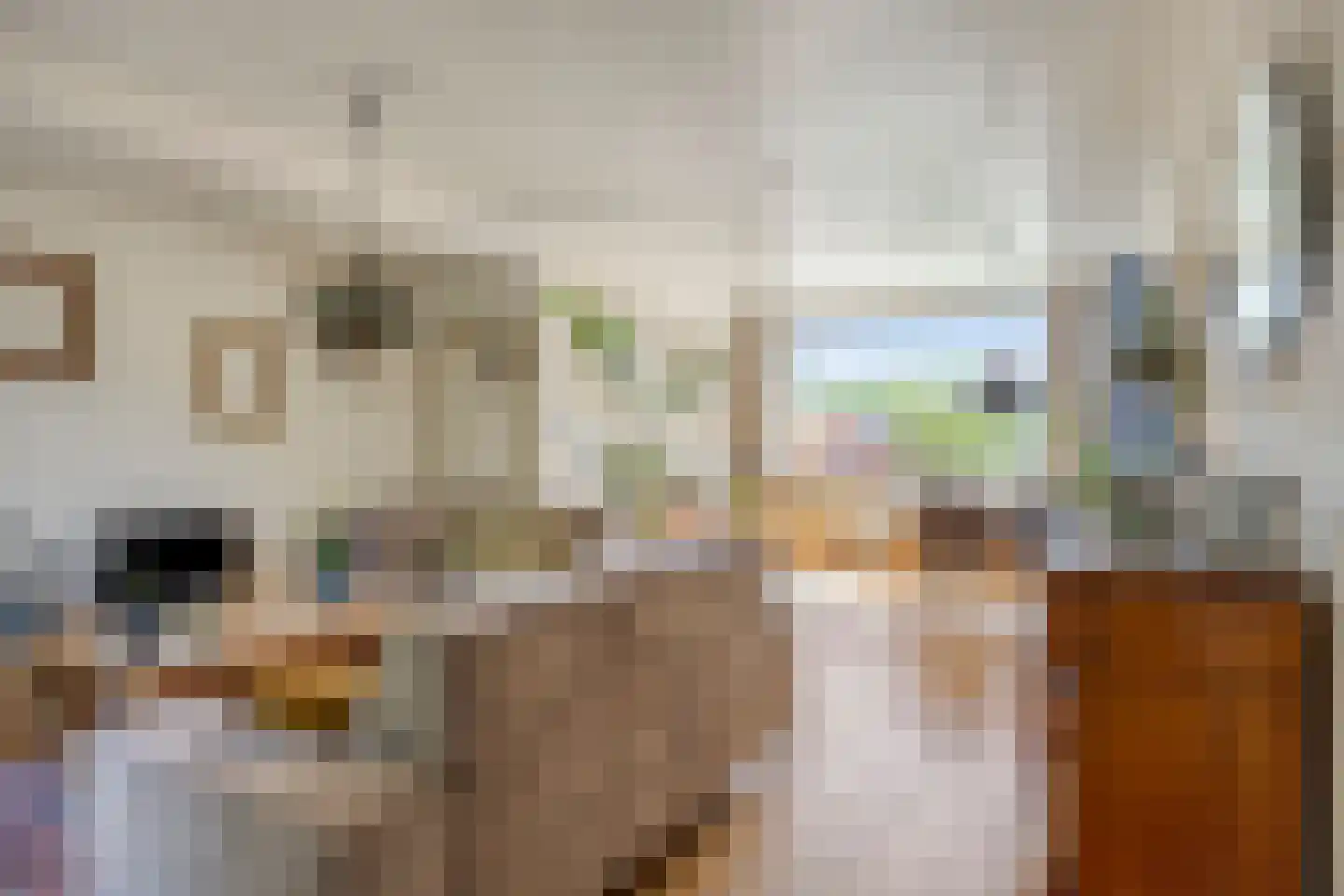 Leharstraat 22 Tilburg thumbnail 5