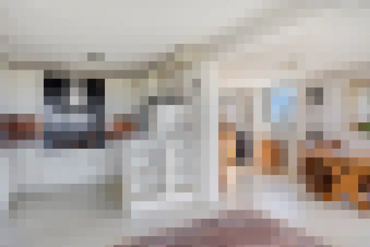 Lehárstraat 248 Capelle aan den IJssel thumbnail 12