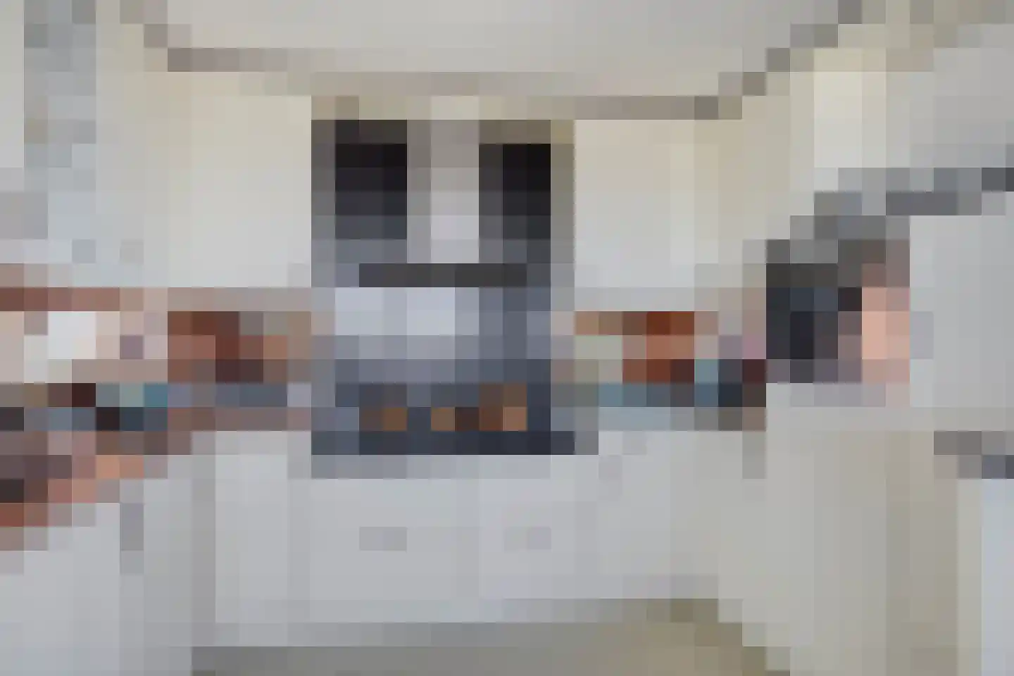 Lehárstraat 248 Capelle aan den IJssel thumbnail 13