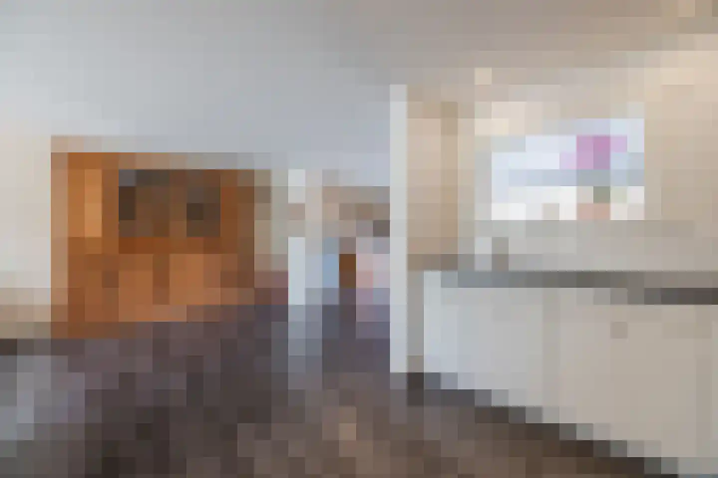 Leharstraat 26 Dongen thumbnail 12