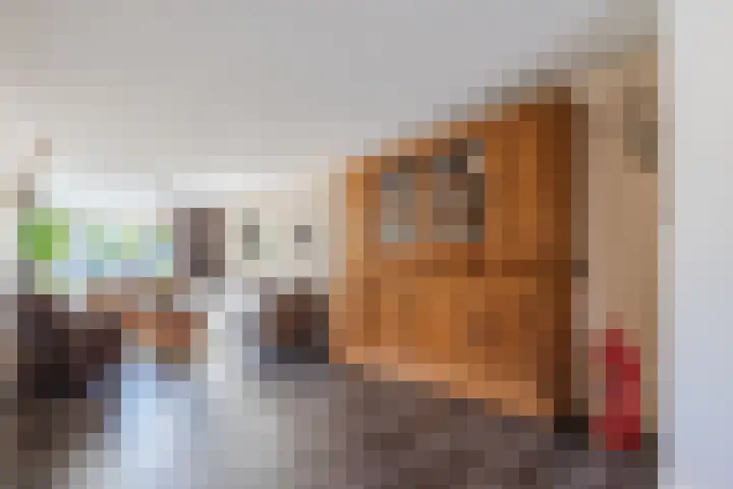 Leharstraat 26 Dongen thumbnail 19