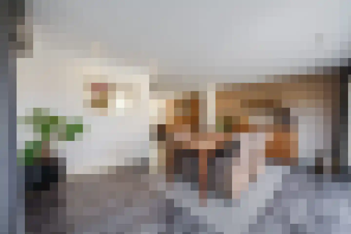 Leharstraat 26 Dongen thumbnail 22