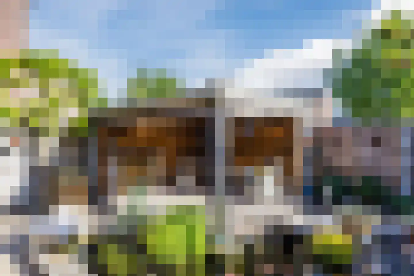 Leharstraat 26 Dongen thumbnail 29